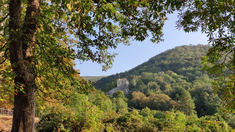 Heuberg Ruine Johannstein, © Naturpark Sparbach