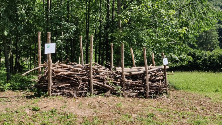 Hecke im Juni 2024, © Naturpark Sparbach