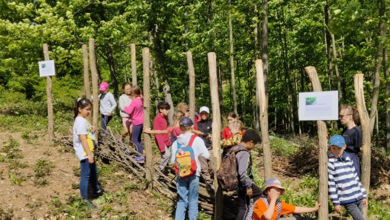 Mitarbeit der Naturparkschule, © Naturpark Sparbach