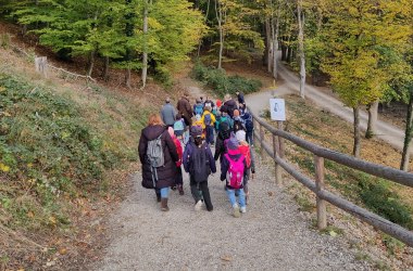 Die beiden zweiten Klassen der Naturparkschule am Weg zur Aufforstungsfläche, © Naturpark Sparbach