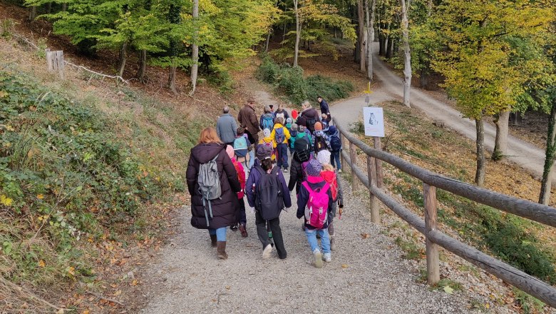 Die beiden zweiten Klassen der Naturparkschule am Weg zur Aufforstungsfläche, © Naturpark Sparbach