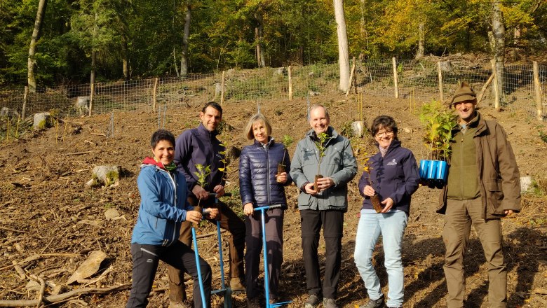 Die TeilnehmerInnen an der Aufforstung, © Naturpark Sparbach